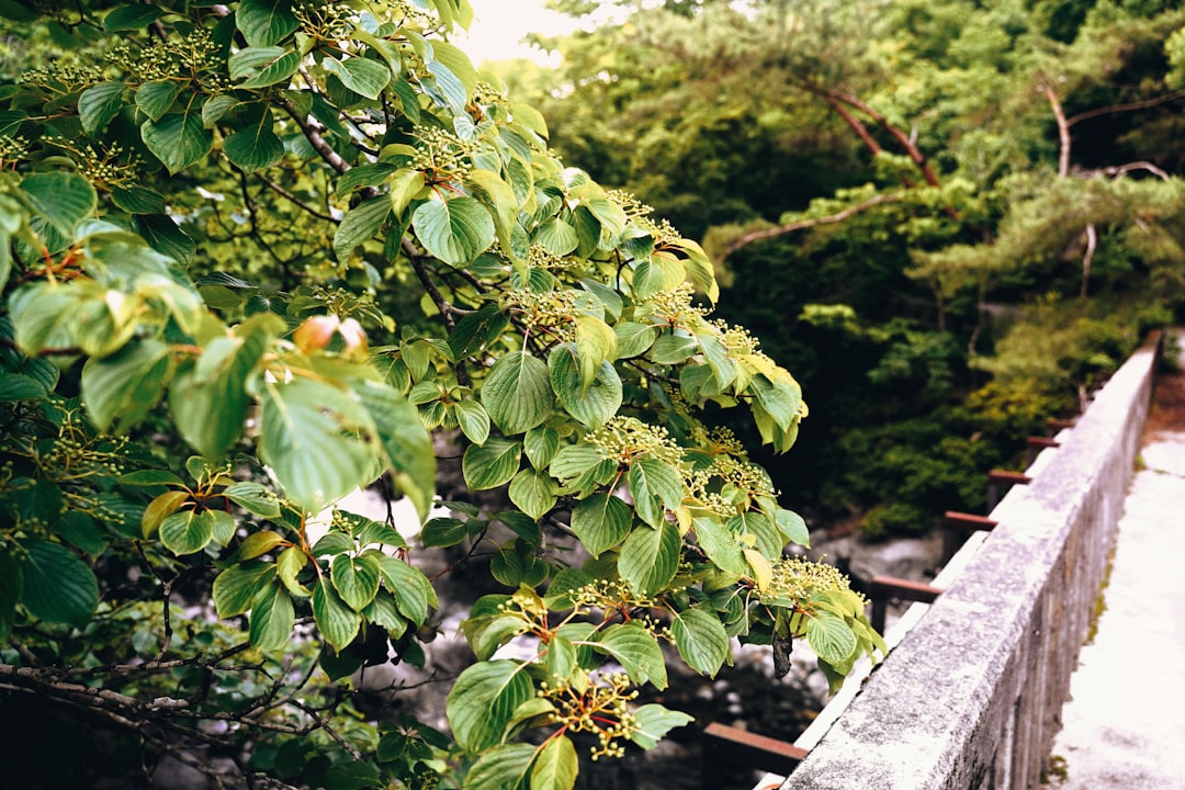 Photo travel art memory