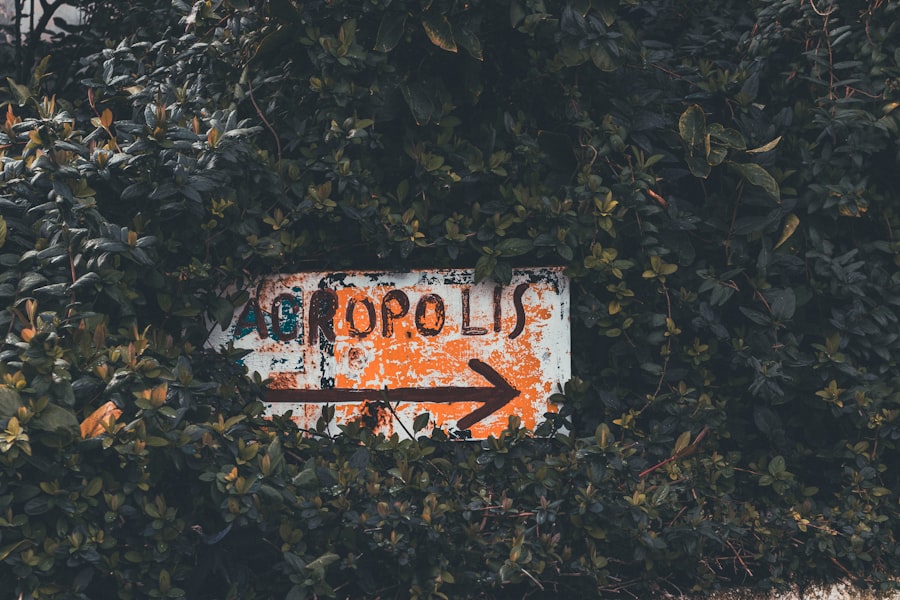cultural routes