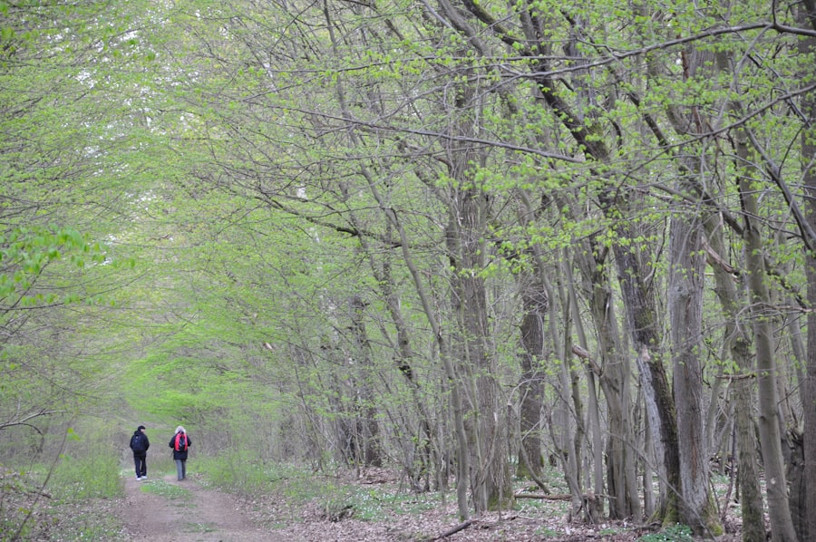 Photo wandeling