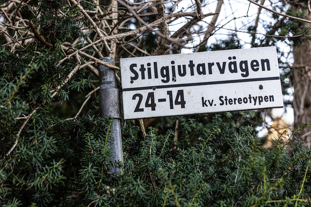 Photo slagvelden