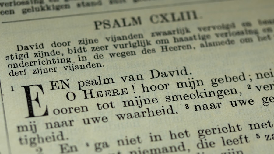 Photo reizigers dagboeken
